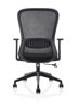 Picture of AA-245BBK Image M.B. Web Chair w/Arms - Black (DVS 045B)