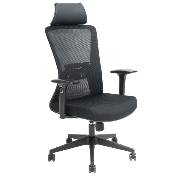 Picture of EC-5385BK Evolve H.B. Mesh w/Headrest Chair - Black